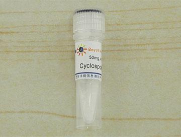 Cyclosporin A (免疫抑制剂/PP2B抑制剂)